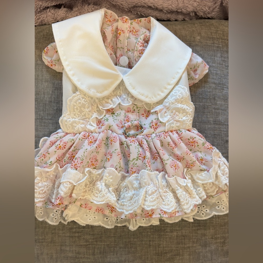 Floral Pet Dress with Lace Details
